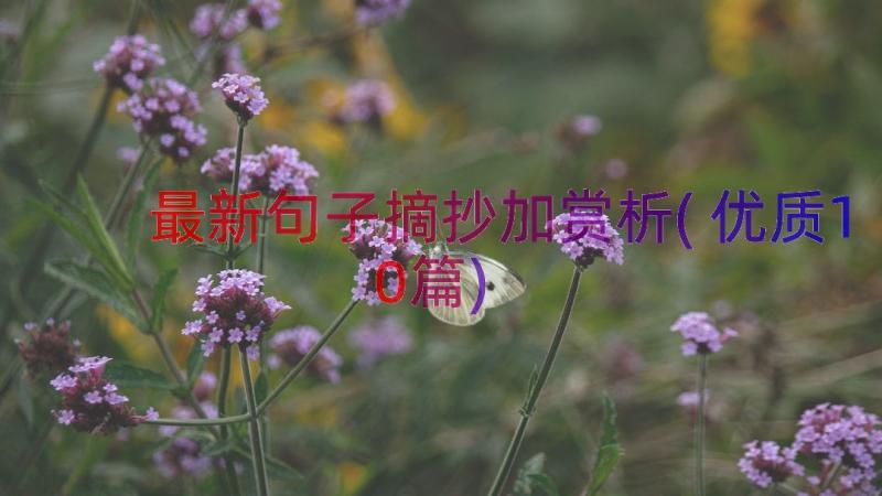 最新句子摘抄加赏析(优质10篇)