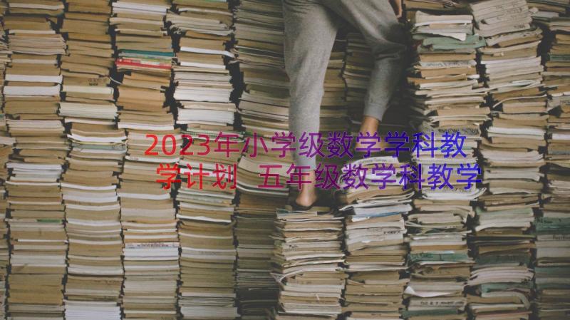 2023年小学级数学学科教学计划 五年级数学科教学计划(优秀12篇)