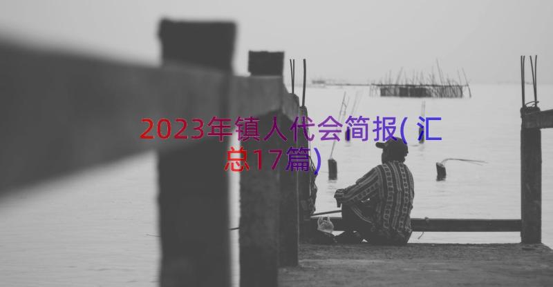 2023年镇人代会简报(汇总17篇)