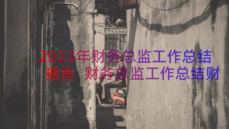 2023年财务总监工作总结报告 财务总监工作总结财务总监工作总结(模板20篇)