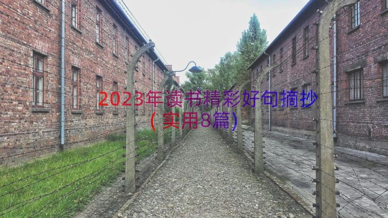 2023年读书精彩好句摘抄(实用8篇)