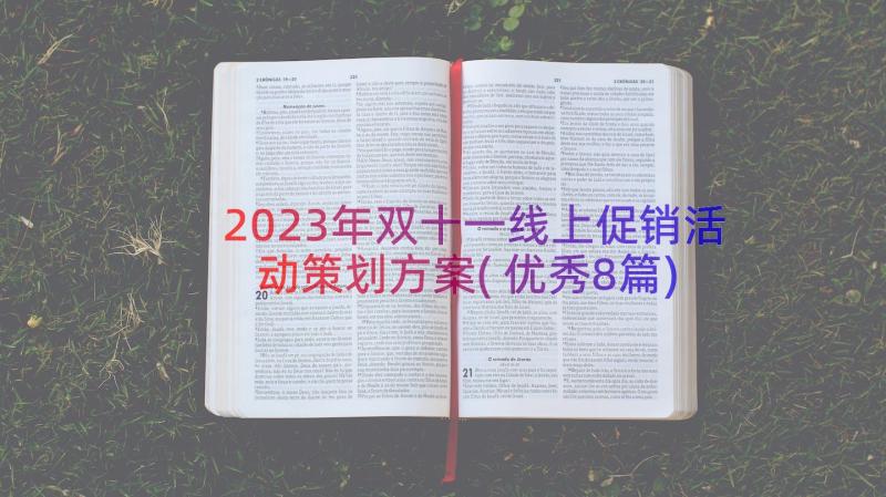 2023年双十一线上促销活动策划方案(优秀8篇)