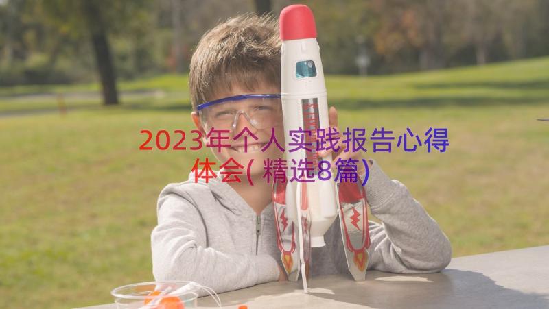 2023年个人实践报告心得体会(精选8篇)