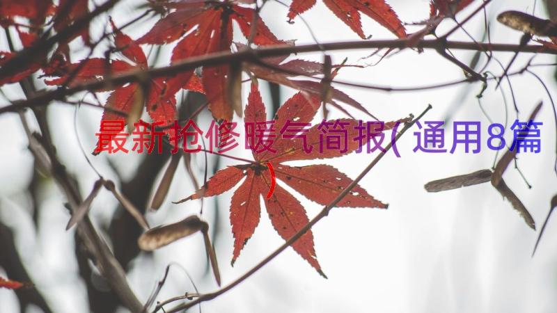 最新抢修暖气简报(通用8篇)