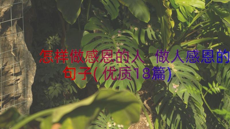 怎样做感恩的人 做人感恩的句子(优质18篇)