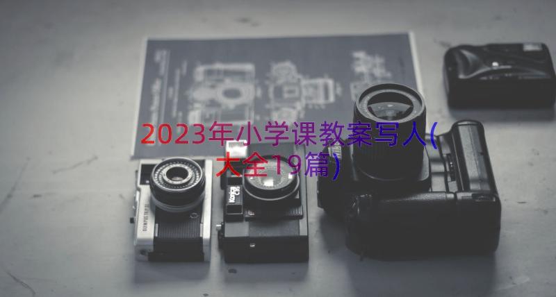 2023年小学课教案写人(大全19篇)