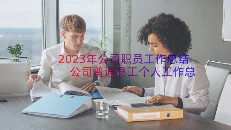 2023年公司职员工作总结 公司普通员工个人工作总结(优秀12篇)