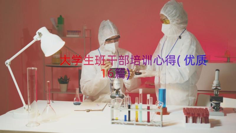 大学生班干部培训心得(优质16篇)