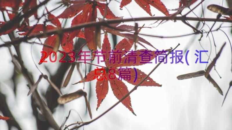 2023年节前清查简报(汇总8篇)