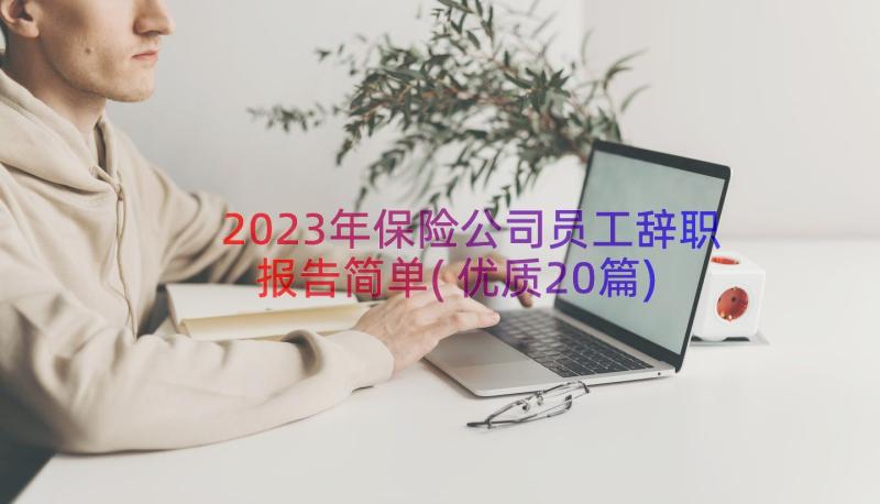 2023年保险公司员工辞职报告简单(优质20篇)