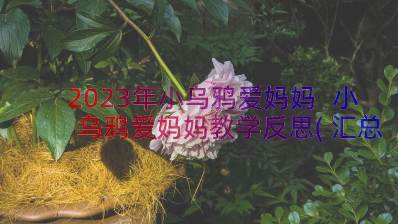 2023年小乌鸦爱妈妈 小乌鸦爱妈妈教学反思(汇总8篇)