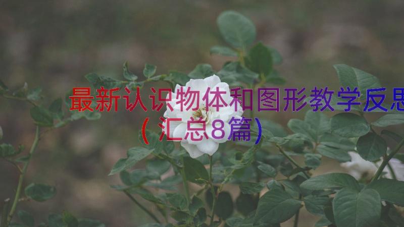 最新认识物体和图形教学反思(汇总8篇)