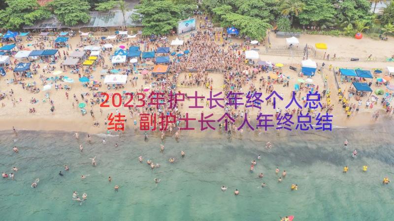 2023年护士长年终个人总结 副护士长个人年终总结(模板9篇)