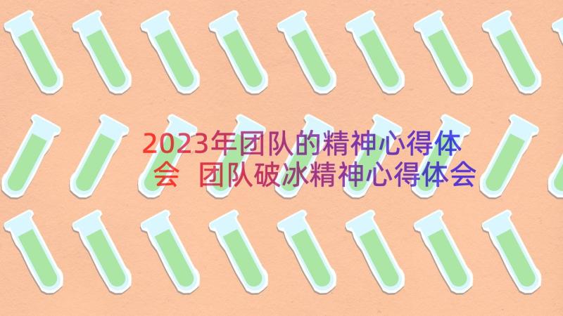 2023年团队的精神心得体会 团队破冰精神心得体会(优质19篇)