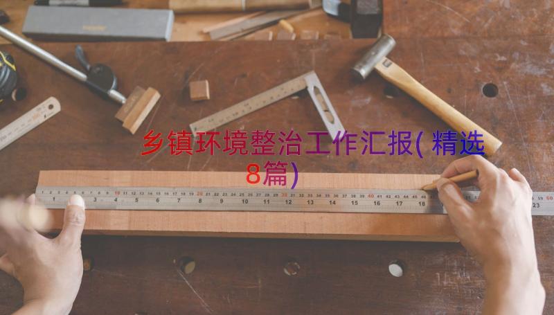 乡镇环境整治工作汇报(精选8篇)