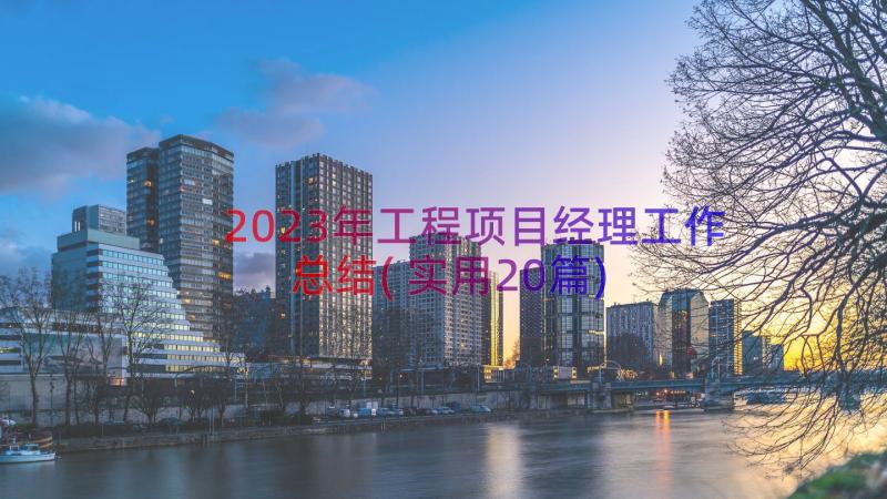 2023年工程项目经理工作总结(实用20篇)