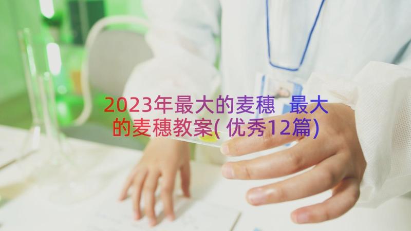 2023年最大的麦穗 最大的麦穗教案(优秀12篇)