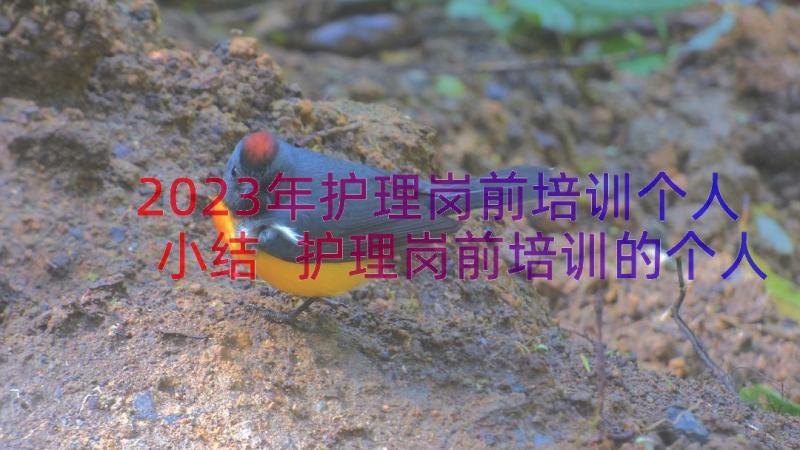 2023年护理岗前培训个人小结 护理岗前培训的个人小结(实用8篇)