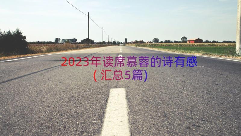 2023年读席慕蓉的诗有感(汇总5篇)