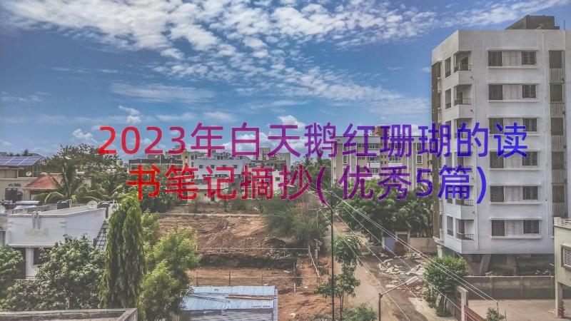 2023年白天鹅红珊瑚的读书笔记摘抄(优秀5篇)