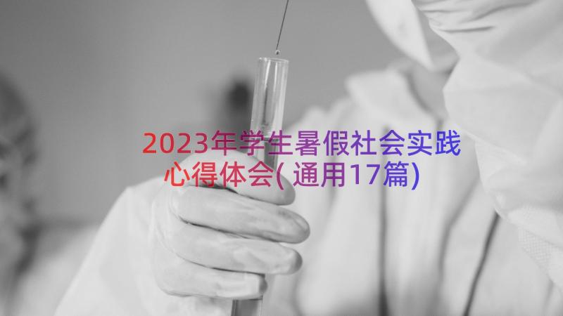 2023年学生暑假社会实践心得体会(通用17篇)