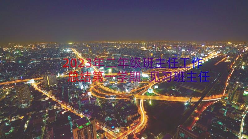 2023年二年级班主任工作总结第一学期 见习班主任工作总结(模板8篇)