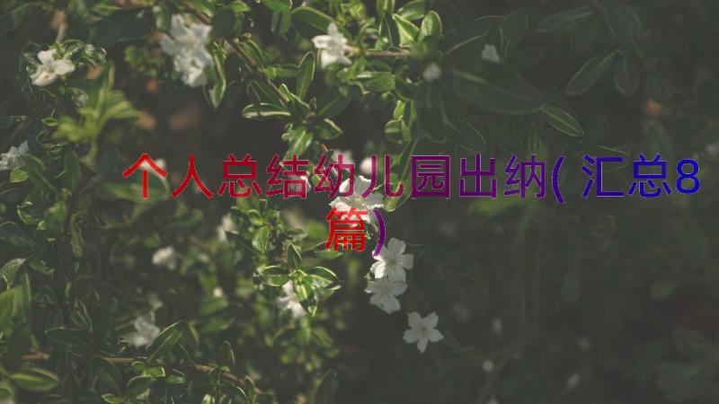 个人总结幼儿园出纳(汇总8篇)