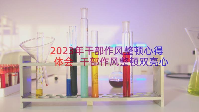 2023年干部作风整顿心得体会 干部作风整顿双亮心得体会(优质11篇)