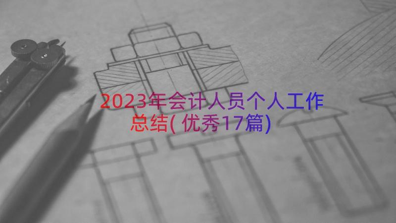 2023年会计人员个人工作总结(优秀17篇)