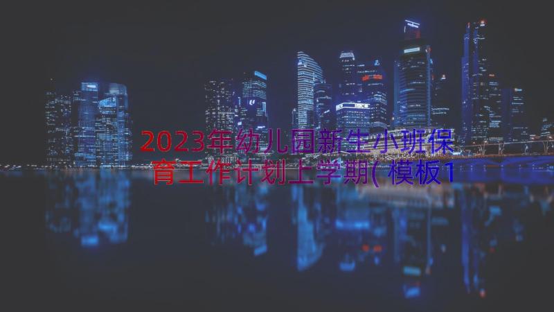 2023年幼儿园新生小班保育工作计划上学期(模板16篇)