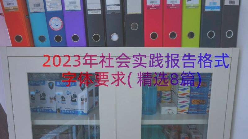 2023年社会实践报告格式字体要求(精选8篇)