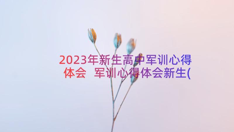 2023年新生高中军训心得体会 军训心得体会新生(优秀13篇)