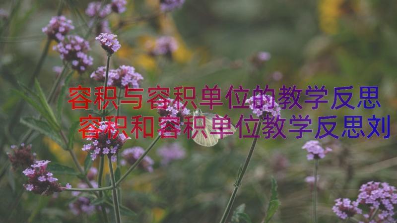 容积与容积单位的教学反思 容积和容积单位教学反思刘昌建(汇总8篇)