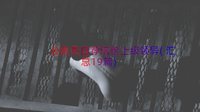 公务员自荐信给上级领导(汇总19篇)