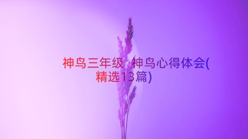 神鸟三年级 神鸟心得体会(精选13篇)