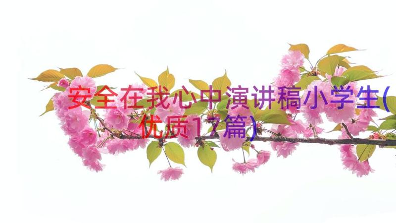 安全在我心中演讲稿小学生(优质17篇)