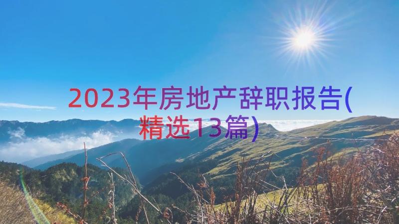 2023年房地产辞职报告(精选13篇)