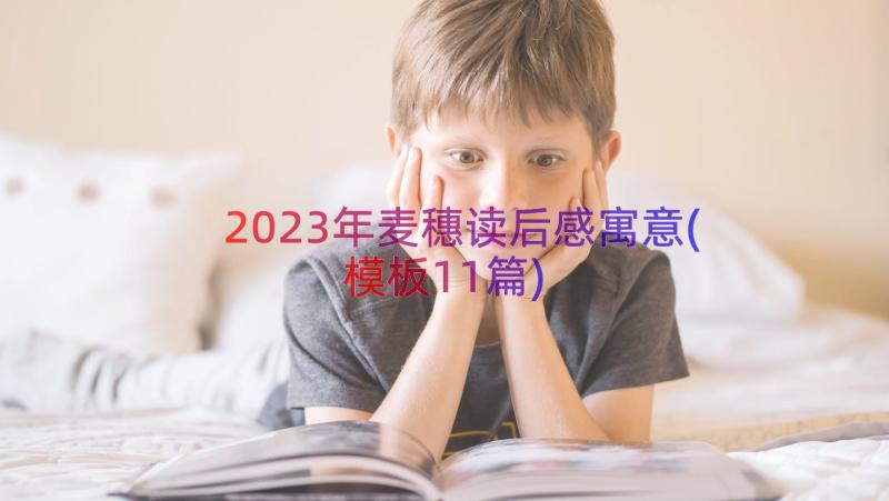 2023年麦穗读后感寓意(模板11篇)