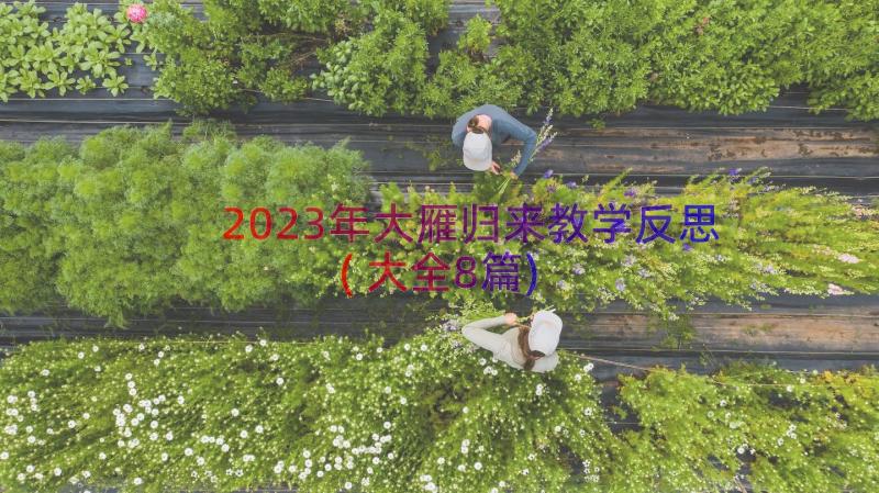 2023年大雁归来教学反思(大全8篇)