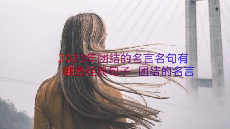 2023年团结的名言名句有哪些经典句子 团结的名言名句有哪些(通用8篇)