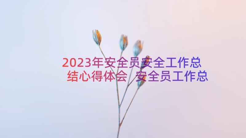 2023年安全员安全工作总结心得体会 安全员工作总结(优秀13篇)