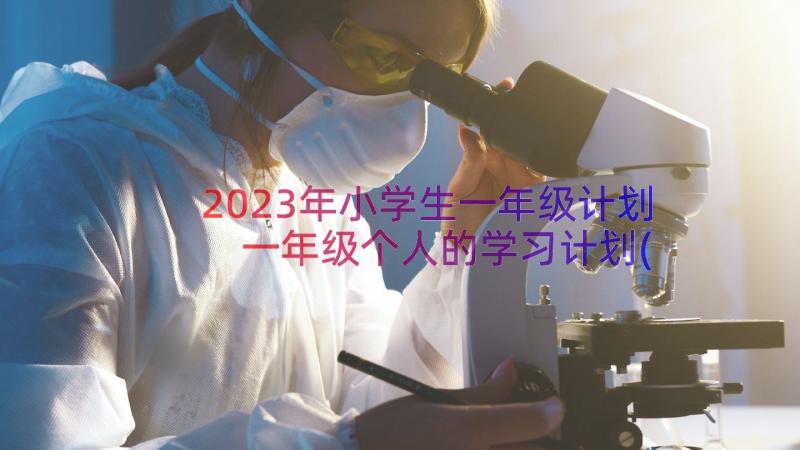 2023年小学生一年级计划 一年级个人的学习计划(汇总17篇)