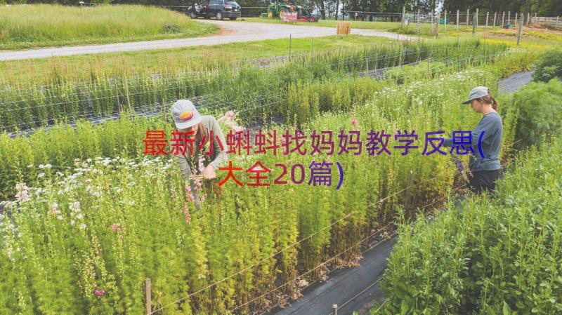 最新小蝌蚪找妈妈教学反思(大全20篇)