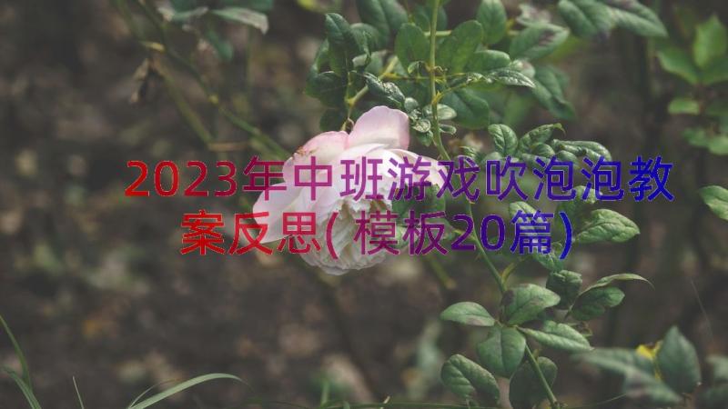 2023年中班游戏吹泡泡教案反思(模板20篇)