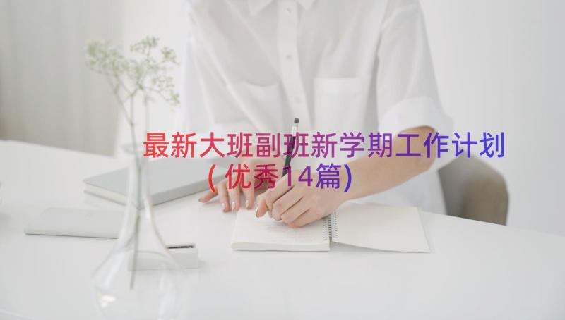 最新大班副班新学期工作计划(优秀14篇)