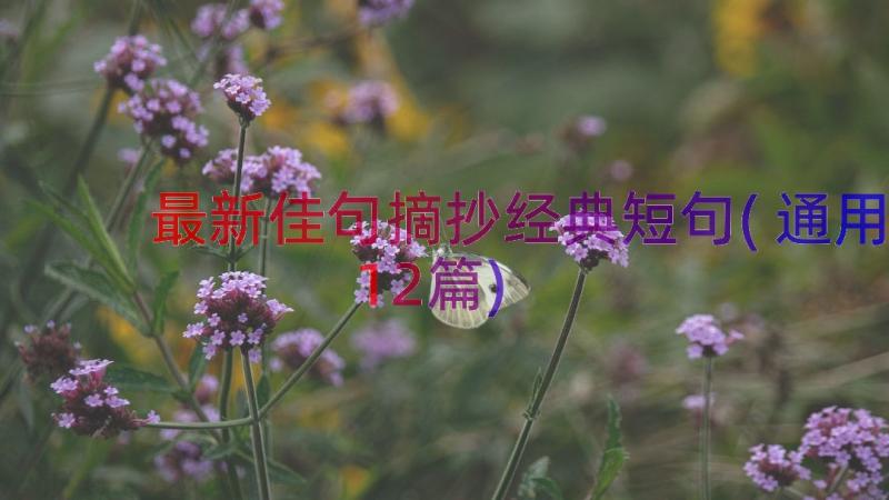 最新佳句摘抄经典短句(通用12篇)