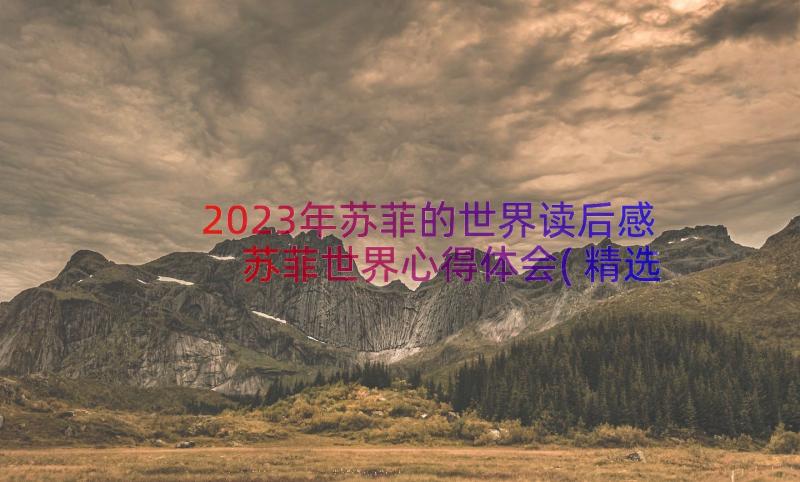 2023年苏菲的世界读后感 苏菲世界心得体会(精选15篇)
