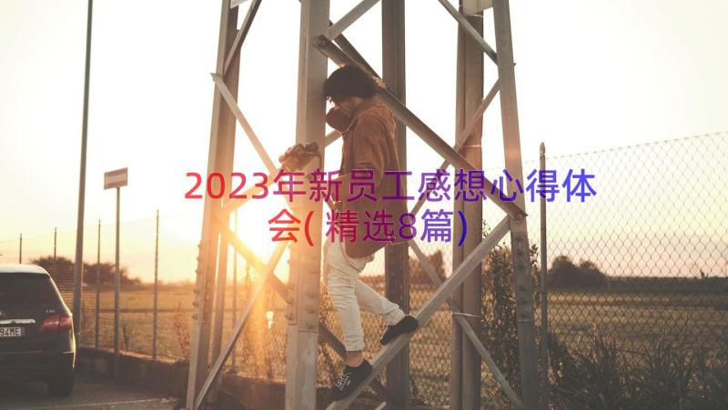 2023年新员工感想心得体会(精选8篇)