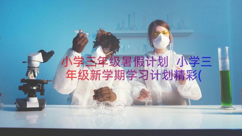 小学三年级暑假计划 小学三年级新学期学习计划精彩(模板7篇)