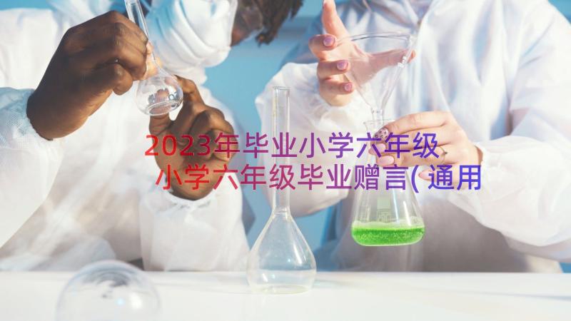 2023年毕业小学六年级 小学六年级毕业赠言(通用8篇)